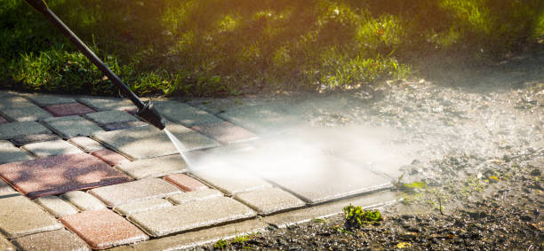 Best Dumpster Area Cleaning  in Buena, NJ