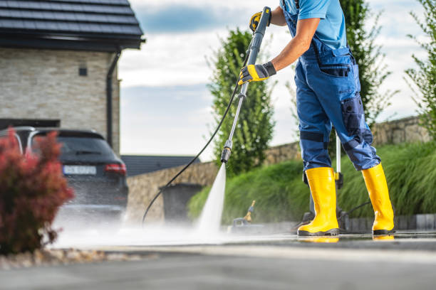 Best Roof Washing  in Buena, NJ